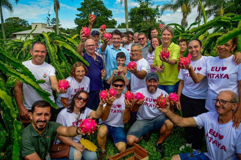 Cidade de Maringá sedia IV Simpósio Brasileiro e II Encontro Paranaense de Pitayas com presença de produtores e especialistas em pitaya