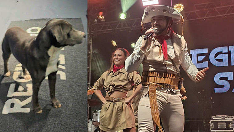 Cachorro sobe ao palco após locutor anuncia o cantor
