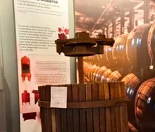 Museu do Vinho em Gramado: uma imersão na história e na cultura do vinho da Serra Gaúcha