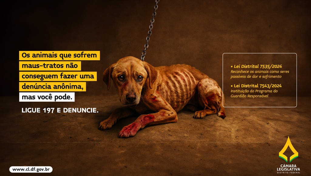 CLDF lança campanha “Pets 2025” para conscientizar população sobre maus-tratos e guarda responsável